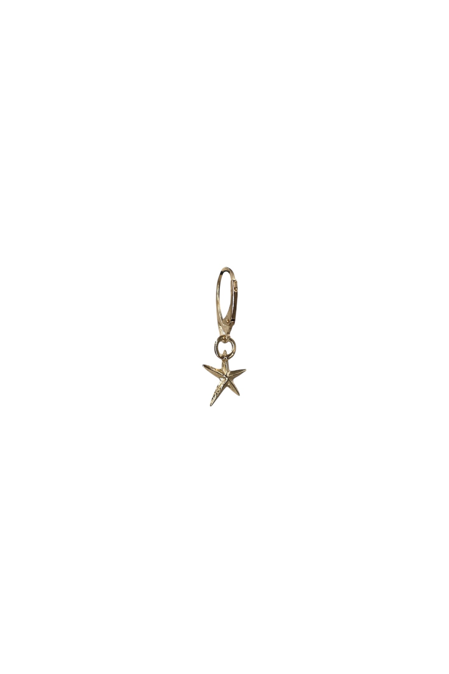 14k gold Signature Starfish Earring